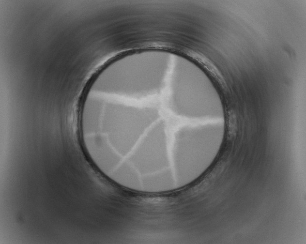 X0000116021031200912312149