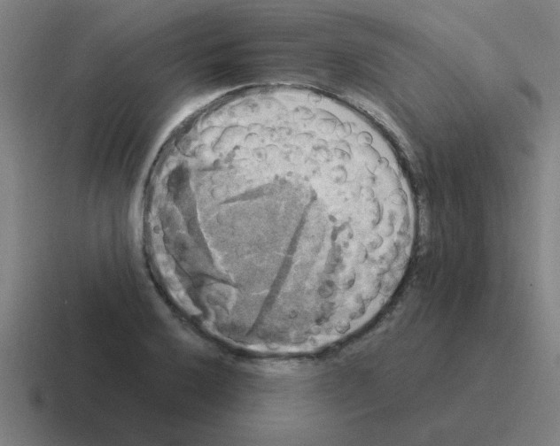 X0000116021032200912312149