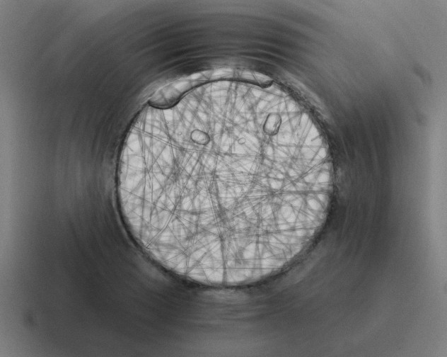 X0000116021033200912312149