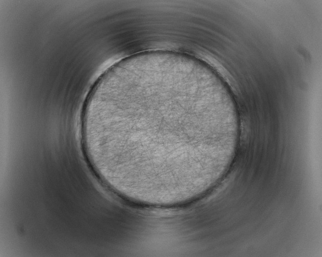 X0000116021034200912312149