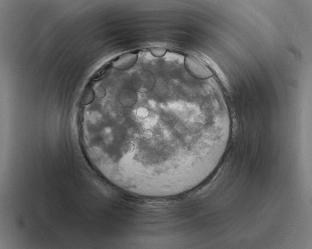 X0000116021035200912312149