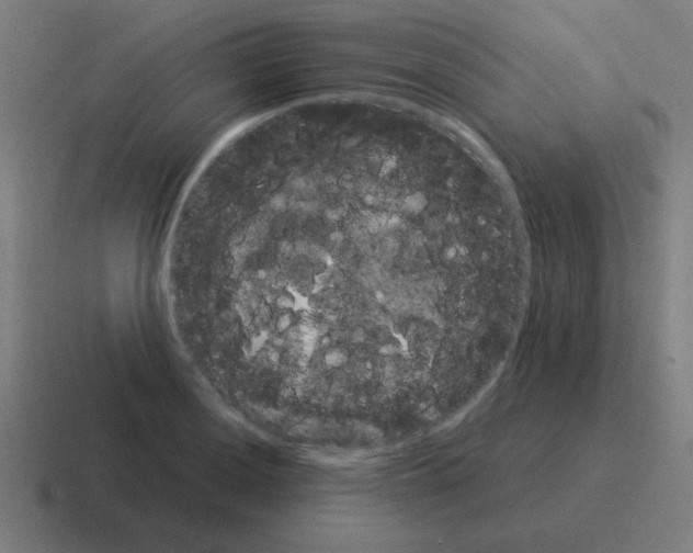 X0000116021036200912312149