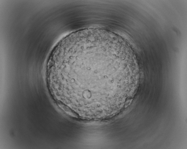 X0000116021038200912312149