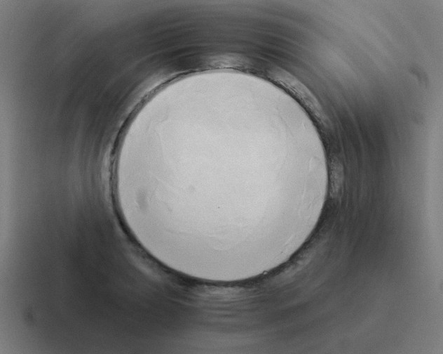 X0000116021039200912312149