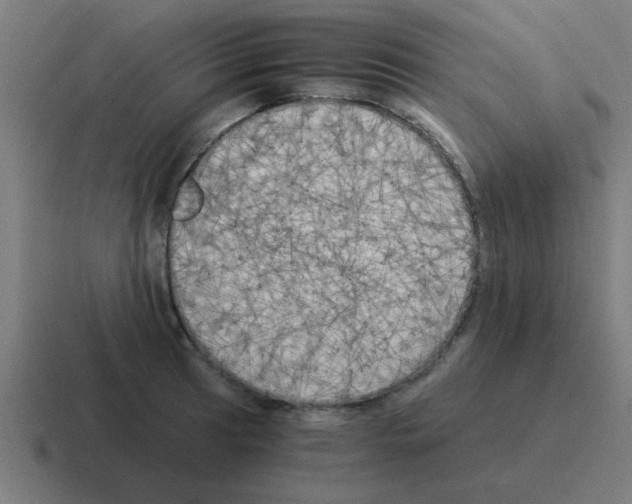 X0000116021041200912312149