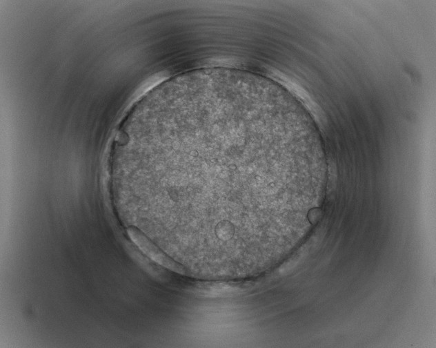 X0000116021042200912312149