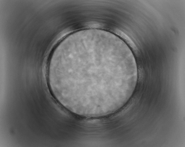 X0000116021043200912312149