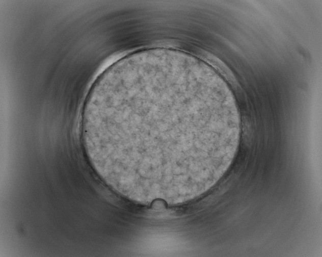 X0000116021044200912312149