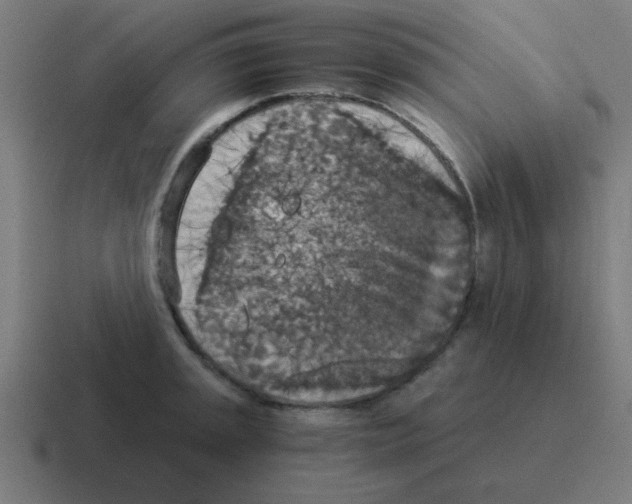 X0000116021045200912312149