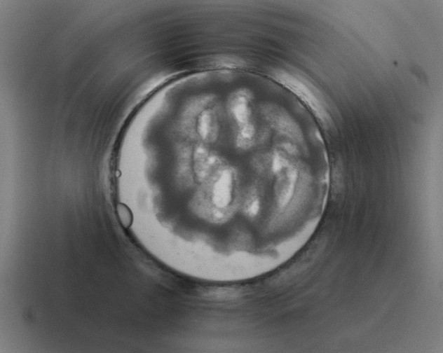 X0000116021047200912312149