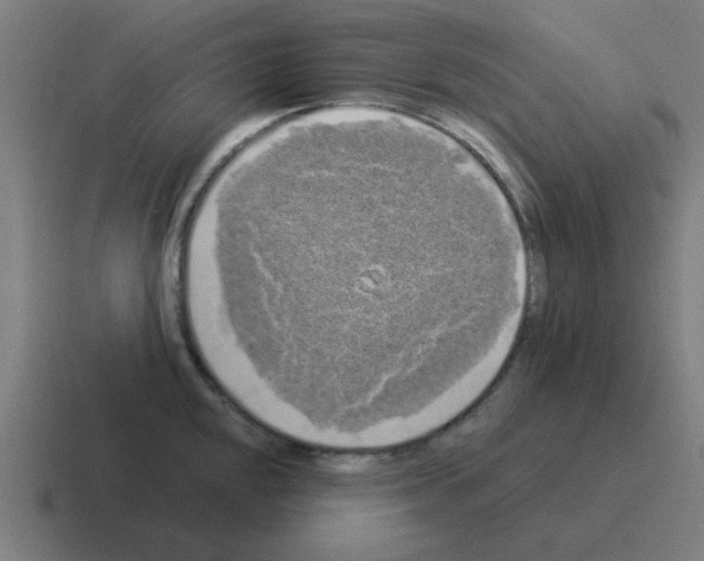 X0000116021048200912312149