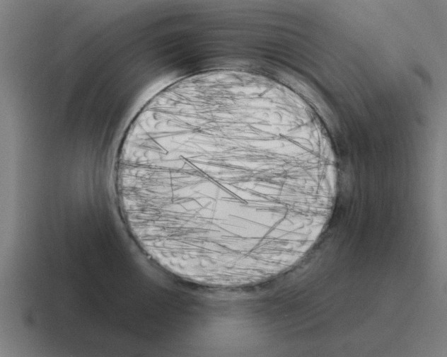 X0000116021050200912312149