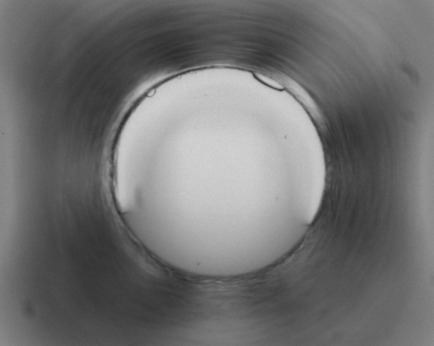 X0000116021051200912312149