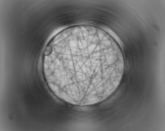 X0000116021053200912312149