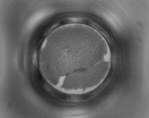 X0000116021055200912312149