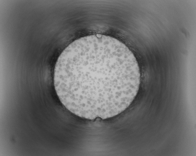 X0000116021058200912312148