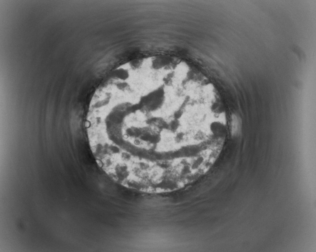 X0000116021059200912312148