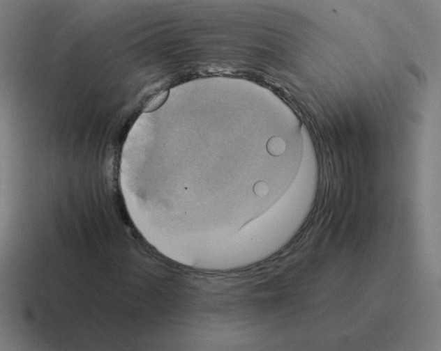 X0000116021060200912312148