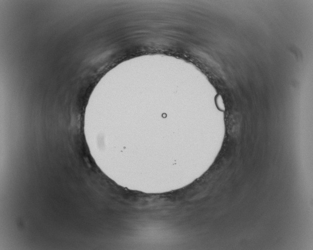 X0000116021061200912312148