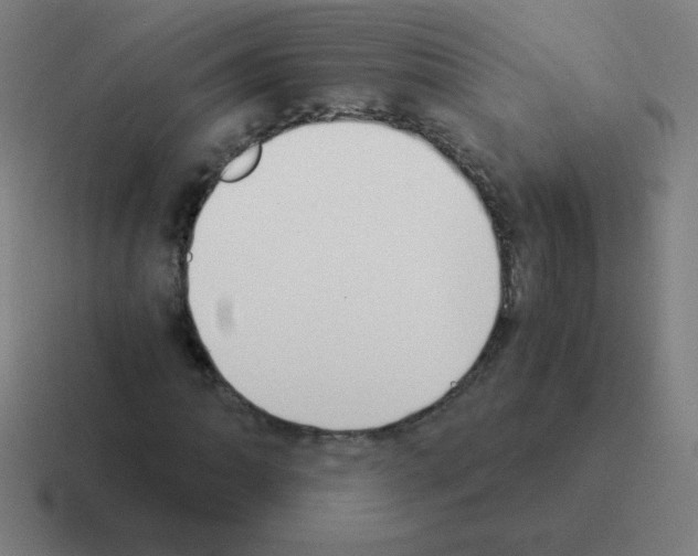 X0000116021062200912312148