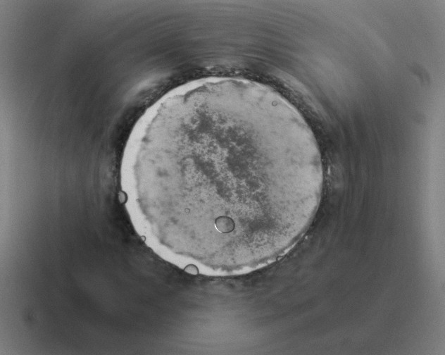 X0000116021063200912312148