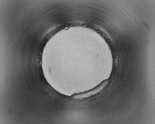 X0000116021064200912312148