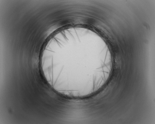 X0000116021065200912312148