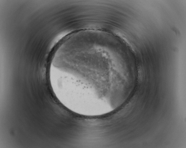 X0000116021066200912312148