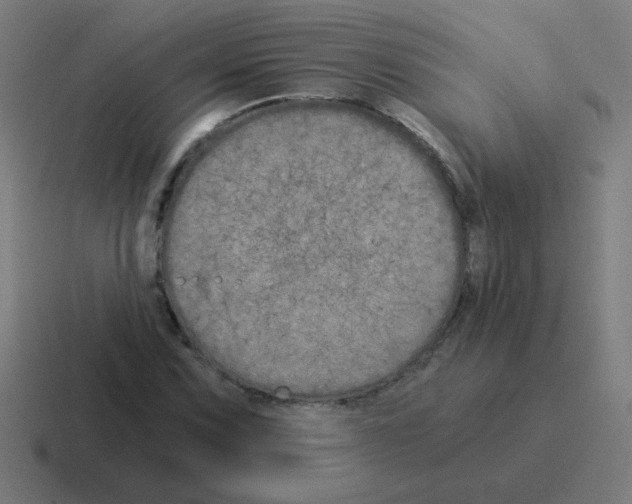 X0000116021067200912312148