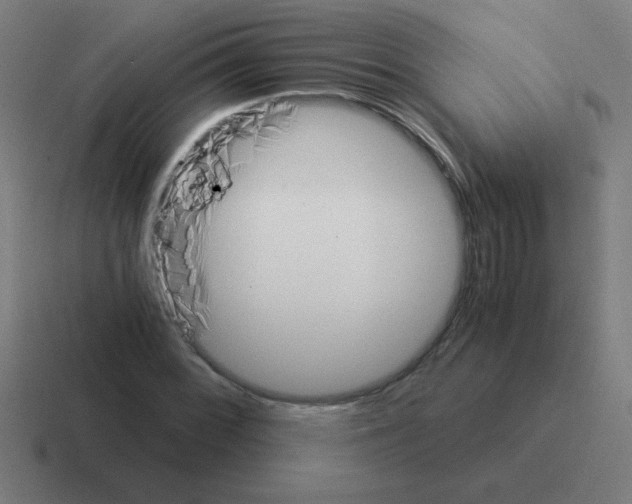 X0000116021068200912312148