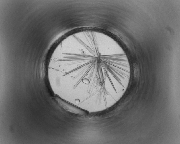 X0000116021069200912312148