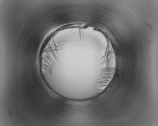 X0000116021072200912312148