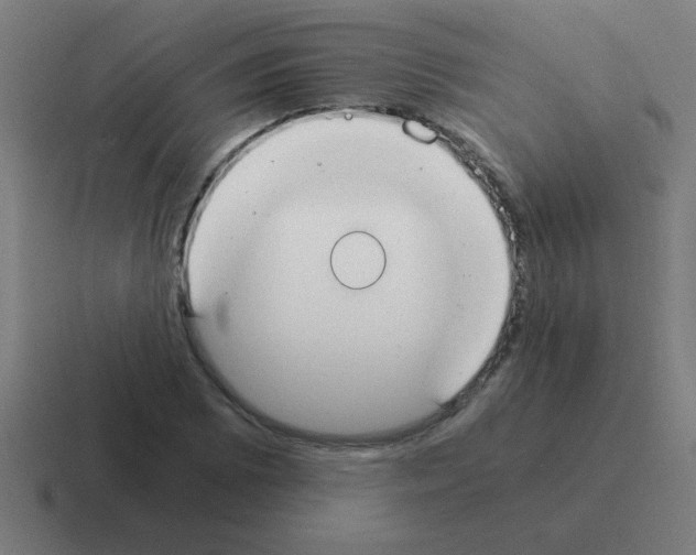 X0000116021073200912312148