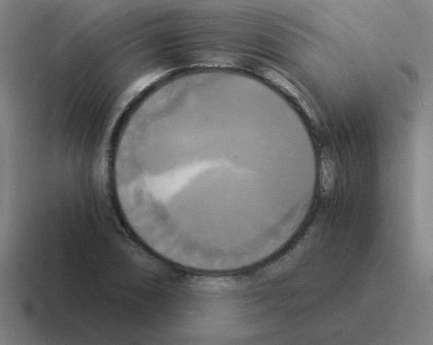 X0000116021074200912312148