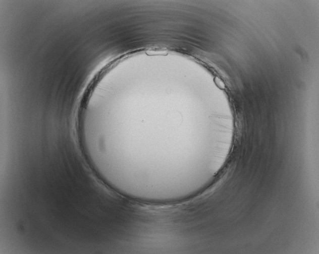 X0000116021075200912312148