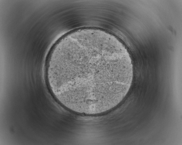 X0000116021076200912312148