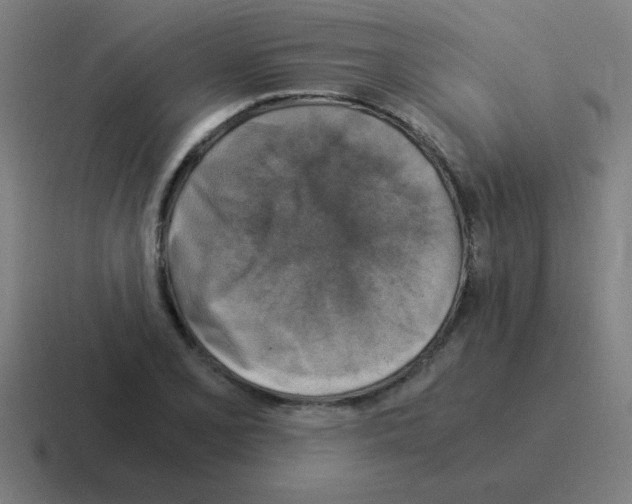 X0000116021077200912312148