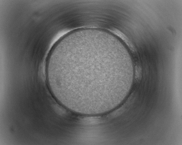 X0000116021078200912312148