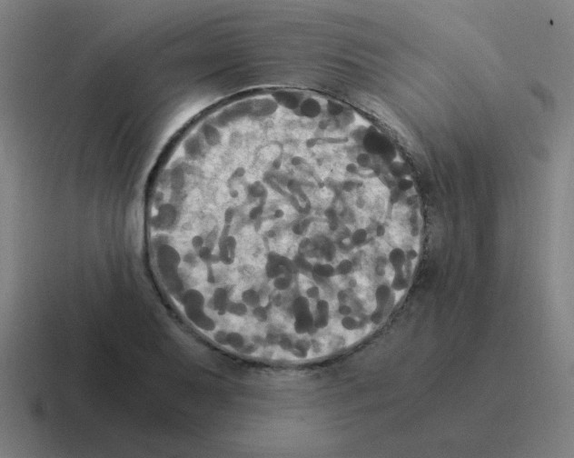 X0000116021079200912312148