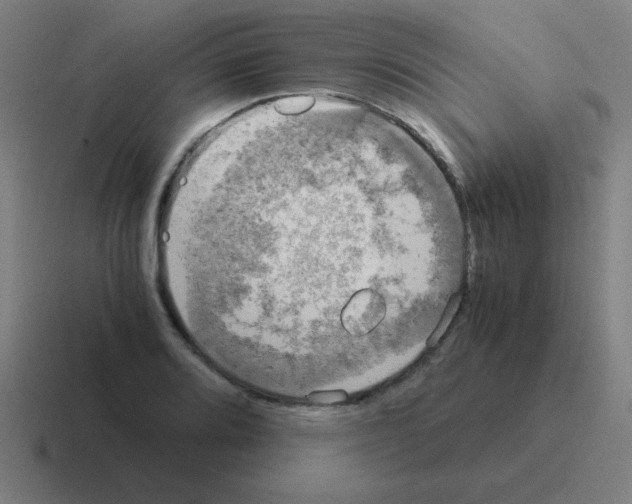 X0000116021080200912312148