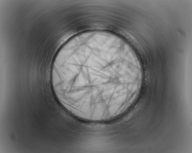 X0000116021081200912312148