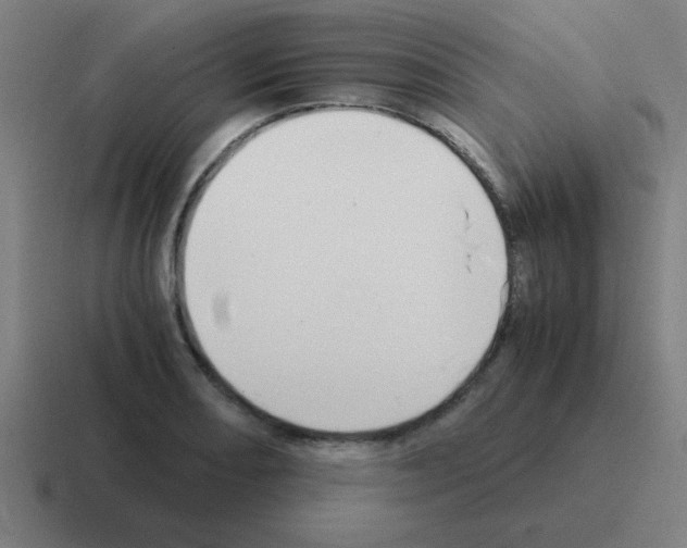 X0000116021082200912312148