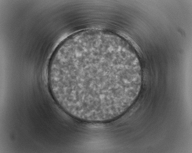 X0000116021083200912312148