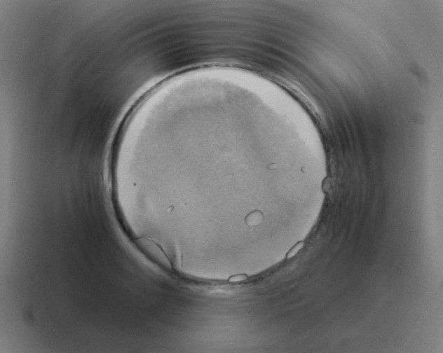 X0000116021084200912312148