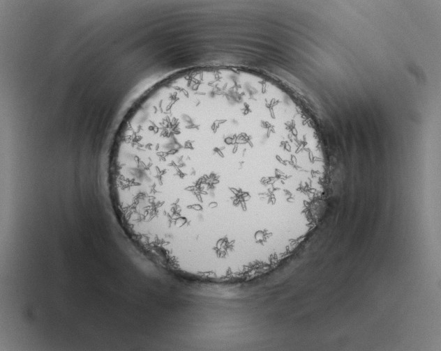 X0000116021086200912312148