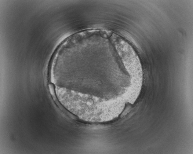 X0000116021087200912312148