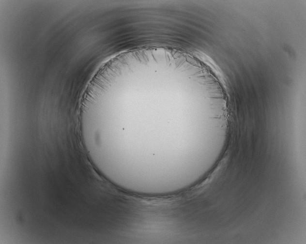 X0000116021089200912312148