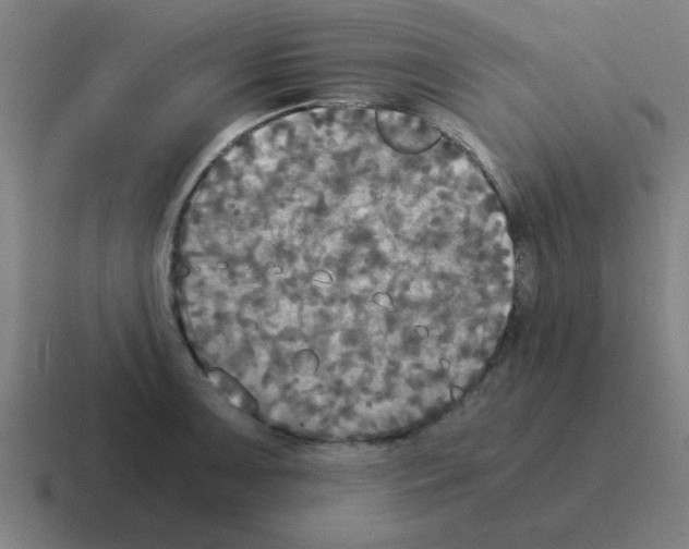 X0000116021091200912312148