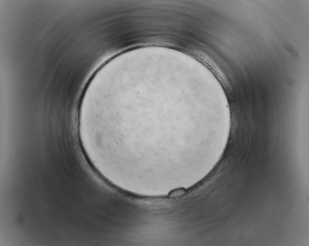 X0000116021092200912312148