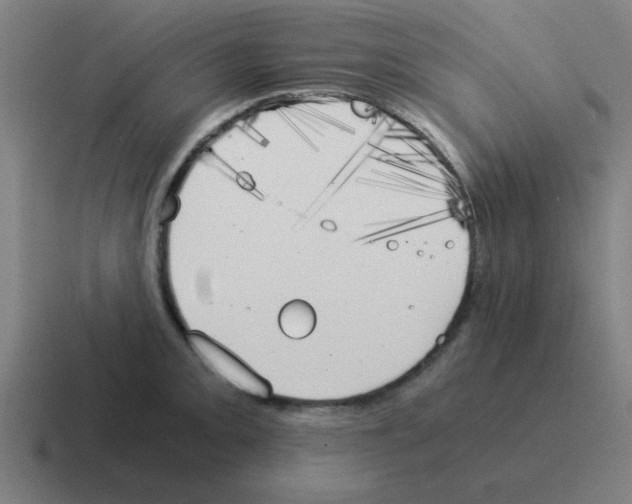 X0000116021093200912312148